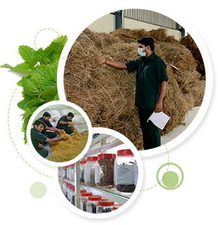 Raw Material Laboratory Raw Material Laboratory - Care Keralam