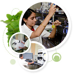 Research & Development Research & Development - Care Keralam