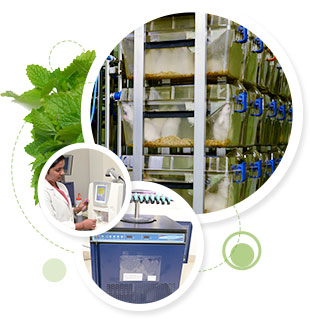 Toxicology Laboratory Toxicology Laboratory - Care Keralam